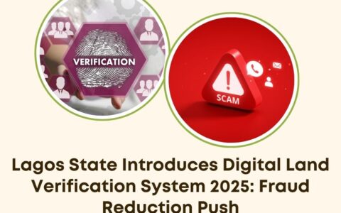 Lagos digital land verification system