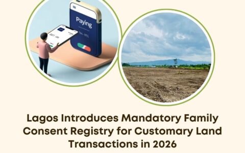 Lagos family consent registry 2026