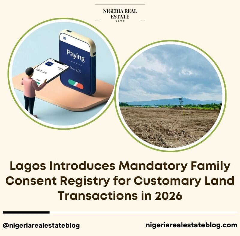 Lagos family consent registry 2026