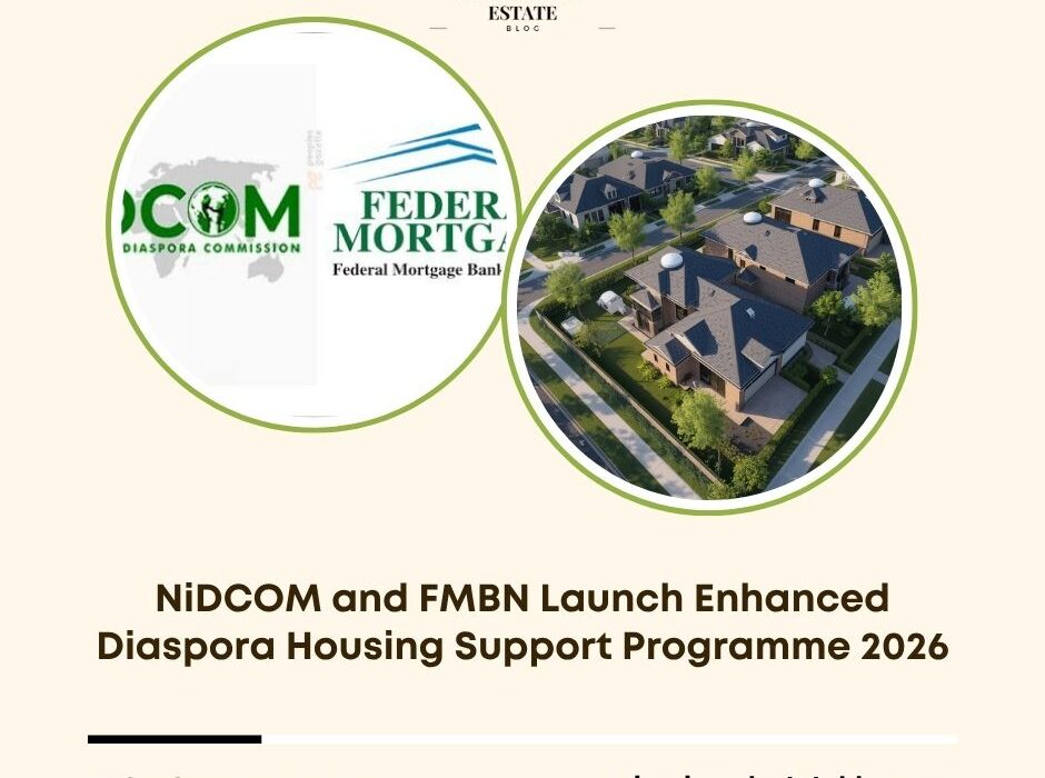 diaspora housing support programme 2026